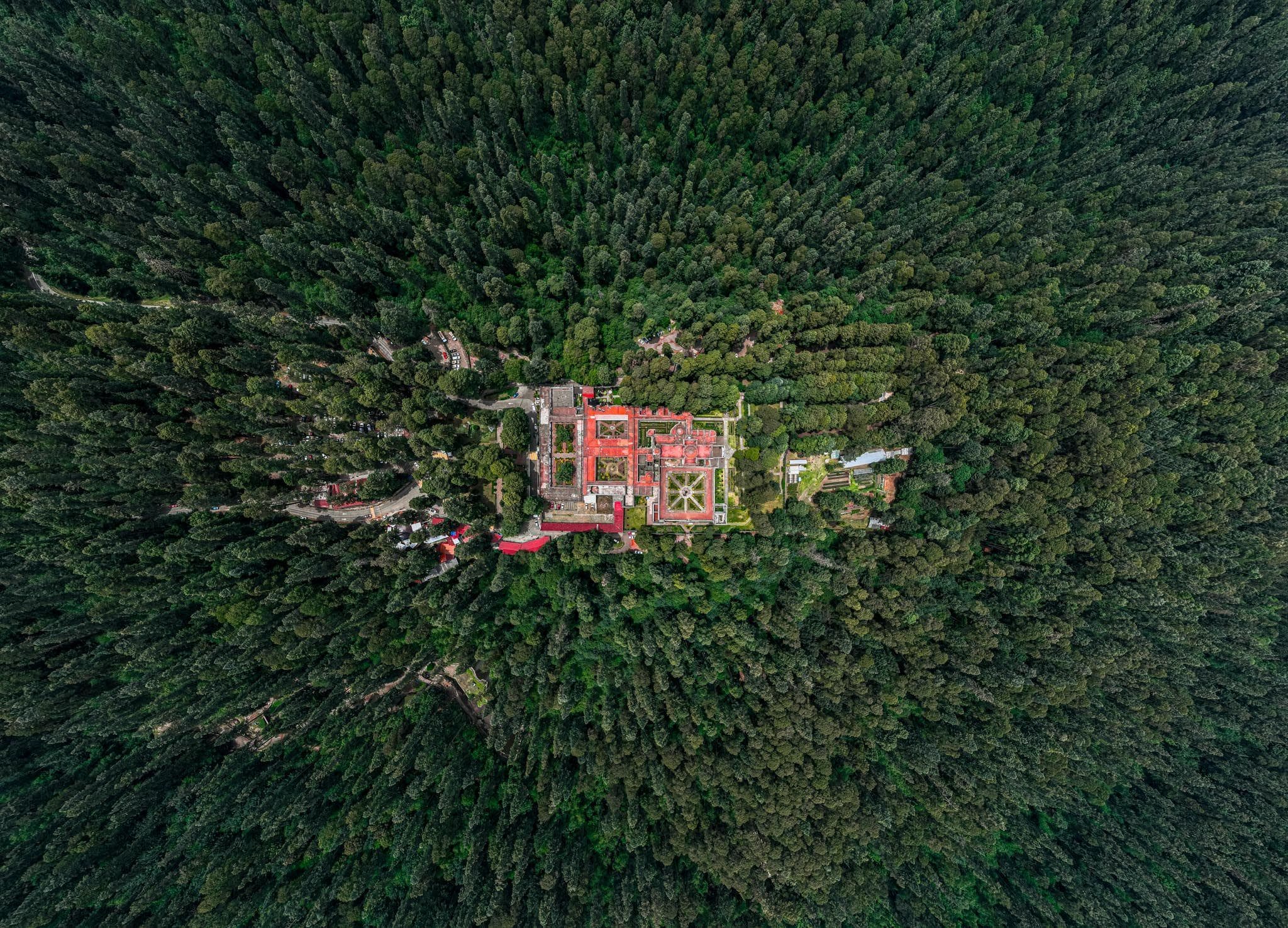 Desierto de los Leones · bosque — fotografía aérea con drone de CDMX, 2022
